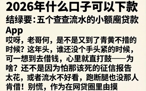 2026年什么口子可以下款，细致阐述五个不查流水的小额度贷款app