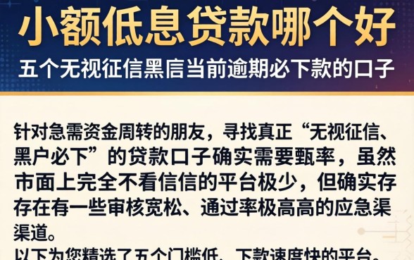 小额低息贷款哪个好，详尽说明五个无视征信黑户当前逾期必下款的口子