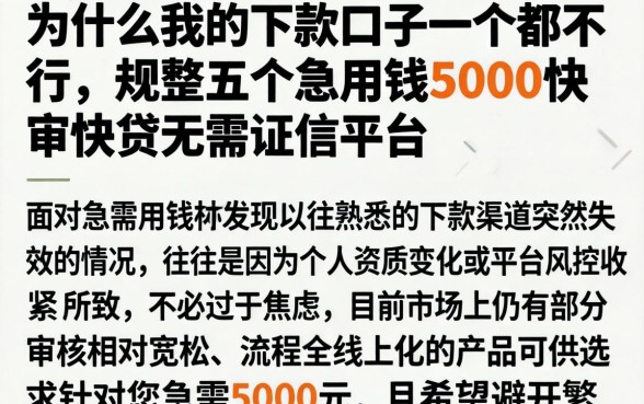 为什么我的下款口子一个都不行，规整五个急用钱5000快审快贷无需征信平台
