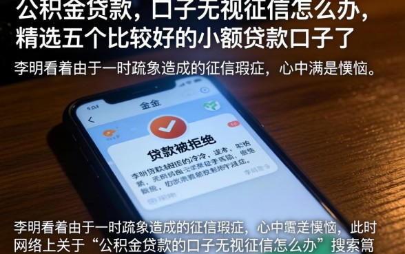 公积金贷款的口子无视征信怎么办，精选五个比较好的小额贷款口子