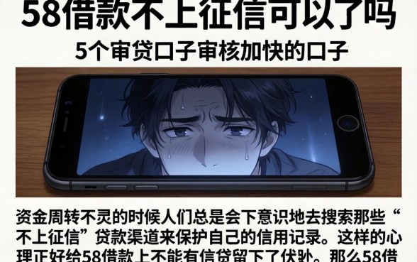 58借款不上征信可以吗，概括5个审贷口子审核加快的口子