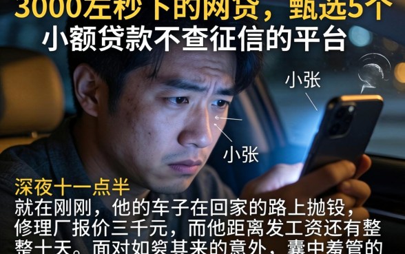 3000左右秒下的网贷，甄选5个小额贷款不查征信的平台