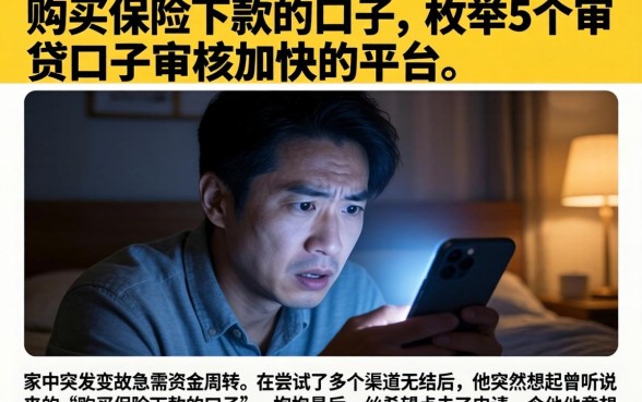 购买保险下款的口子，枚举5个审贷口子审核加快的平台