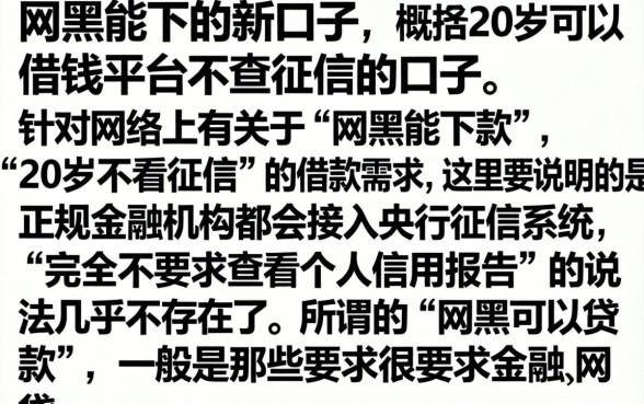 网黑能下的新口子,概括五个20岁可以借钱平台不查征信的口子