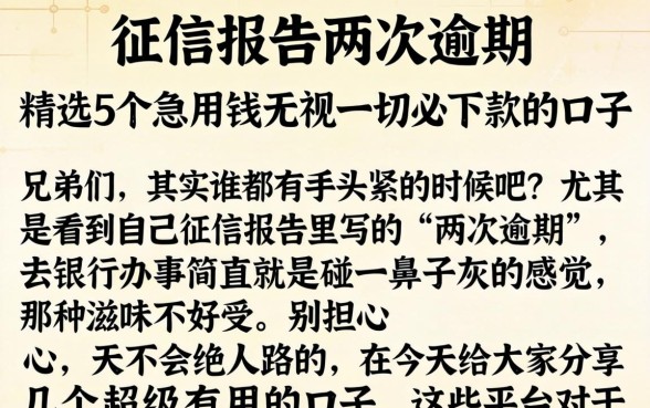 征信报告两次逾期，精选5个急用钱无视一切必下款的口子