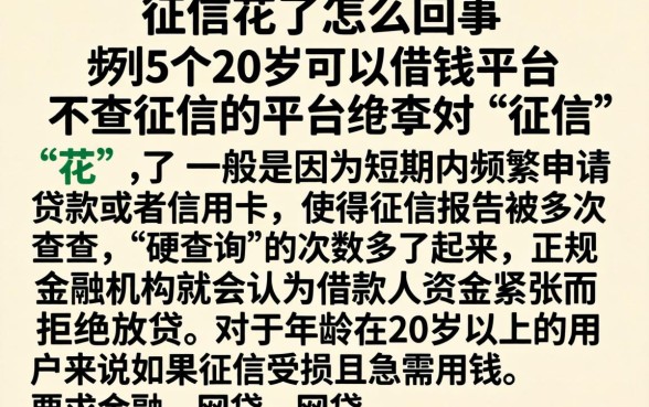 征信花了怎么回事，条列5个20岁可以借钱平台不查征信的平台