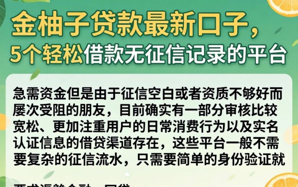 金柚子贷款最新口子，概括5个轻松借款无征信记录的平台