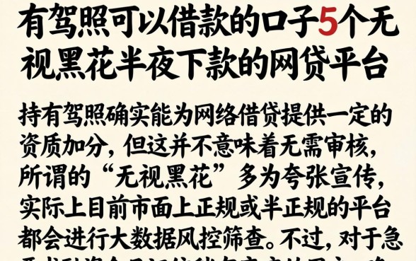 有驾照可以借款的口子，概括5个无视黑花半夜下款的网贷平台