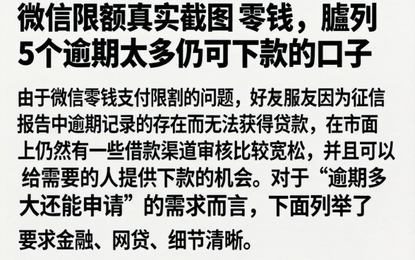 微信限额真实截图 零钱，胪列5个逾期太多仍可下款的口子