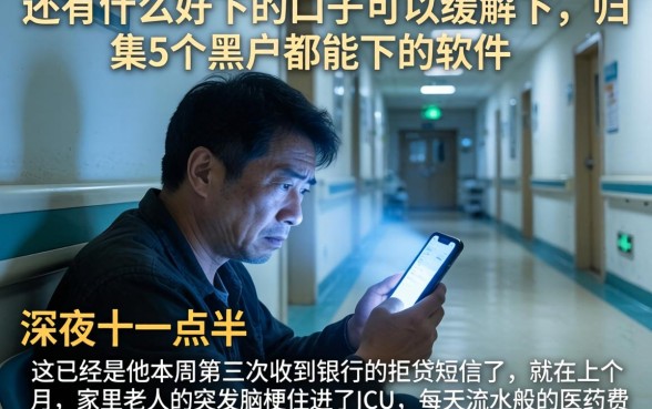 还有什么好下的口子可以缓解下，归集5个黑户都能下的软件