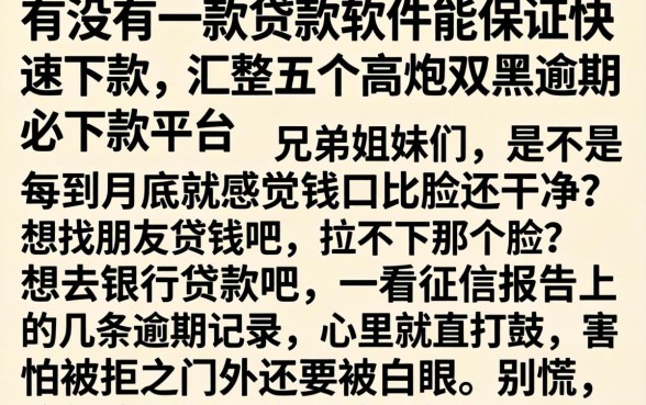 有没有一款贷款软件能保证快速下款，汇整五个高炮双黑逾期必下款平台