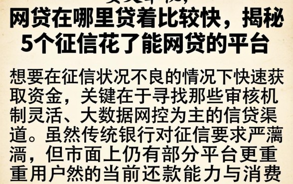 网贷在哪里贷着比较快，揭秘5个征信花了能网贷的平台