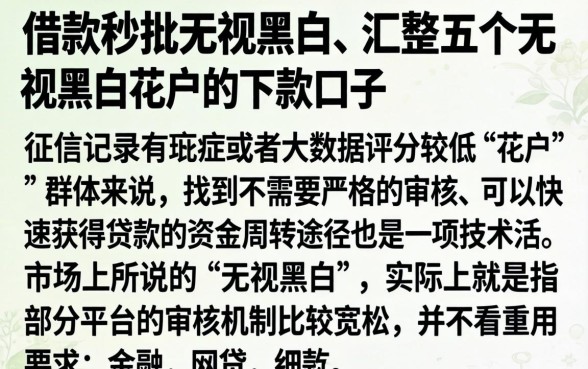 借款秒批无视黑白,汇整五个无视黑白花户的下款口子