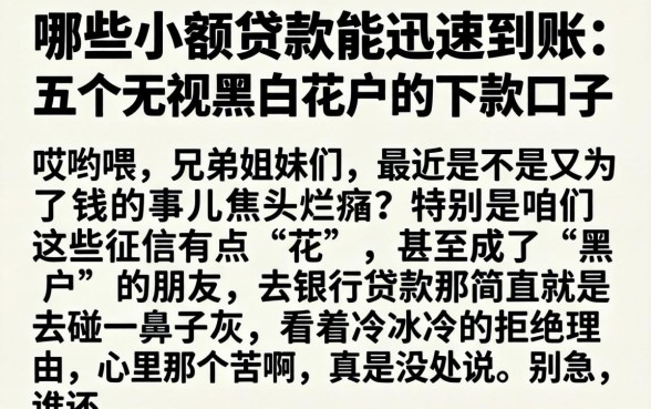 哪些小额贷款能迅速到账，详细阐述五个无视黑白花户的下款口子