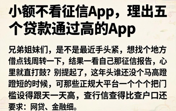 小额不看征信app，理出五个贷款通过高的app