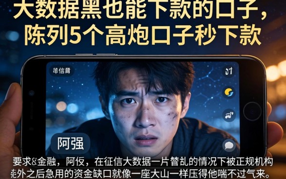大数据黑也能下款的口子，陈列5个高炮口子秒下款