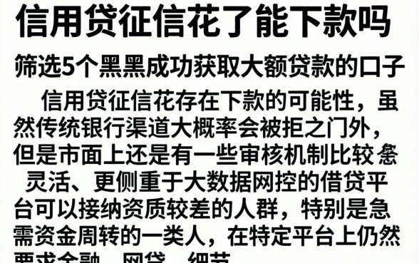 信用贷征信花了能下款吗，筛选5个黑户成功获取大额贷款的口子