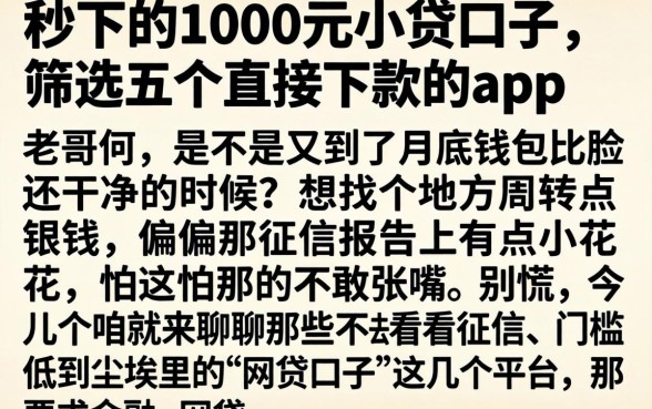 秒下的1000元小贷口子，筛选五个直接下款的app