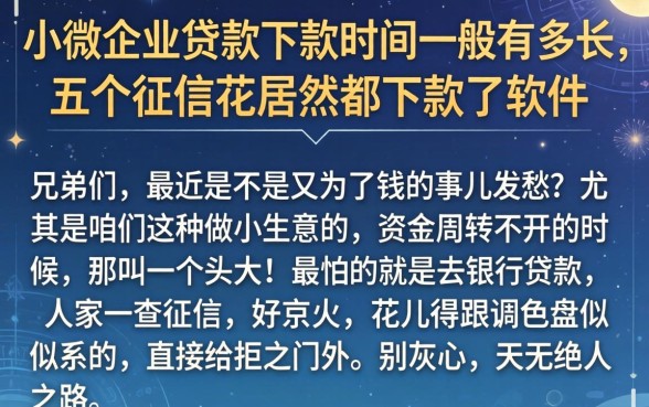 小微企业贷款下款时间一般有多长，详尽说明五个征信花居然都下款了的软件