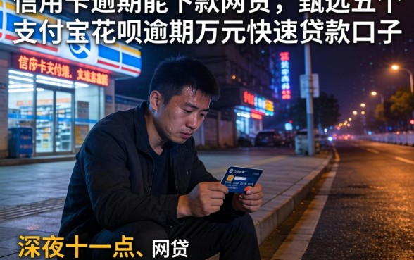 信用卡逾期能下款的网贷，甄选五个支付宝花呗逾期万元快速贷款口子