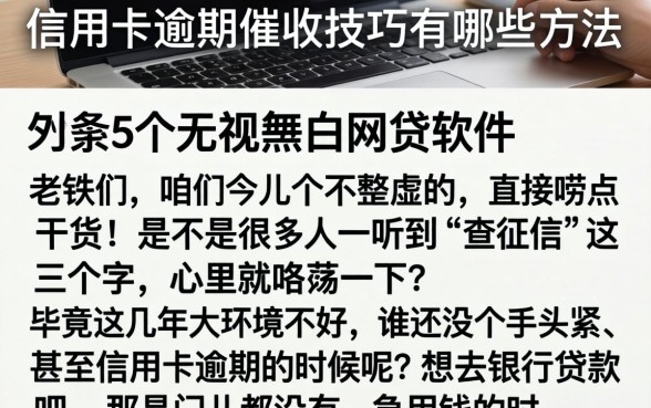 信用卡逾期催收技巧有哪些方法，条列5个无视黑白的网贷软件