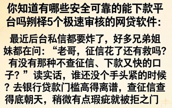 你知道有哪些安全可靠的能下款平台吗，枚举5个极速审核的网贷软件