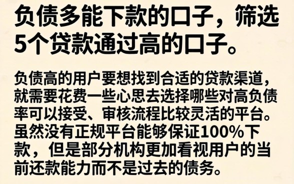负债多能下款的口子，筛选5个贷款通过高的口子