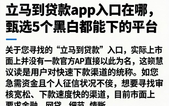 立马到贷款app入口在哪，甄选5个黑户都能下的平台