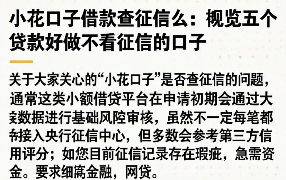 小花口子借款查征信么，概览五个贷款好做不看征信的口子