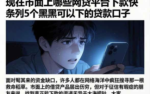 现在市面上哪些网贷平台下款快，条列5个黑户可以下的贷款口子