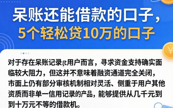 呆账还能借款的口子，详尽说明5个轻松贷10万的口子