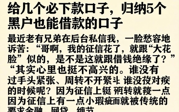 给几个必下款口子，归纳5个黑户也能借款的口子