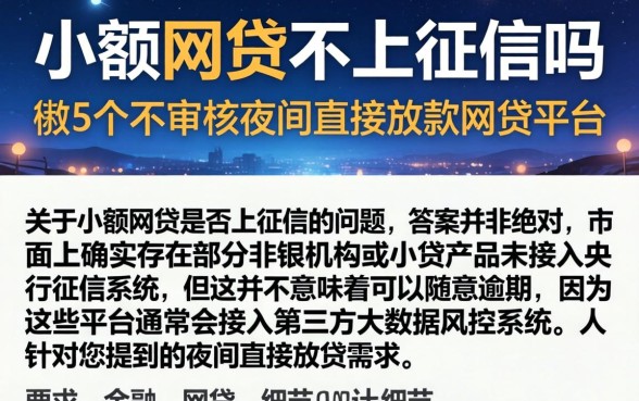 小额网贷不上征信吗，枚举5个不审核夜间直接放款的网贷平台