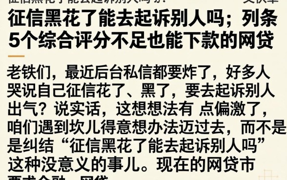 征信黑花了能去起诉别人吗，条列5个综合评分不足也能下款的网贷
