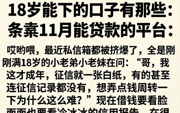 18岁能下的口子有那些，条列五个11月能贷款的平台