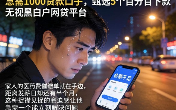 急需1000贷款口子，甄选5个百分百下款无视黑白户网贷平台