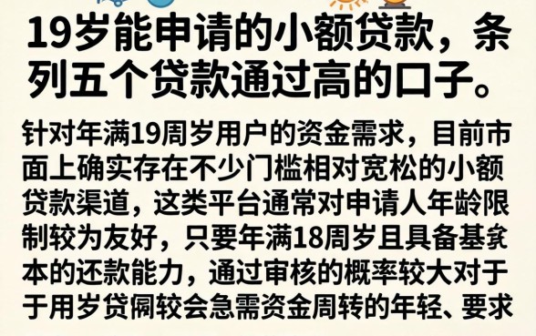 19岁能申请的小额贷款，条列五个贷款通过高的口子