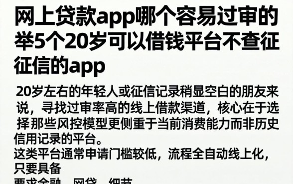 网上贷款app哪个容易过审的，枚举5个20岁可以借钱平台不查征信的app