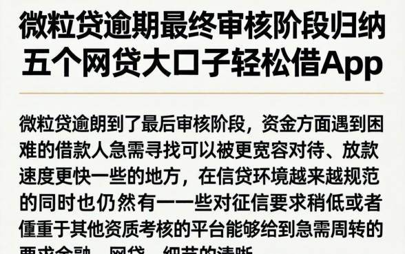 微粒贷逾期最终审核阶段，归纳五个网贷大口子轻松借app