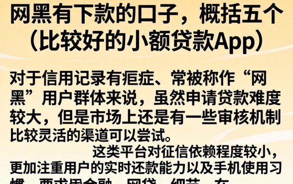 网黑有下款的口子，概括五个比较好的小额贷款app