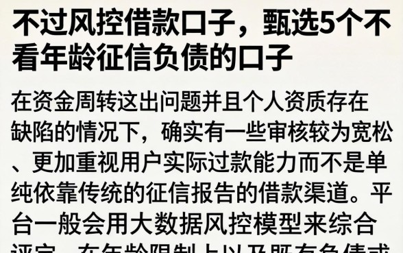 不过风控借款口子，甄选5个不看年龄征信负债的口子