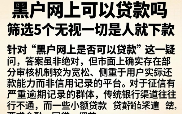 黑户网上可以贷款吗，筛选5个无视一切是人就下款