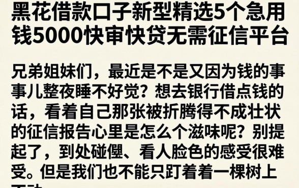 黑花借款口子新型，精选5个急用钱5000快审快贷无需征信平台