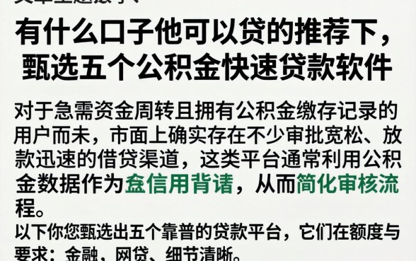有什么口子他可以贷的推荐下，甄选五个公积金快速贷款软件
