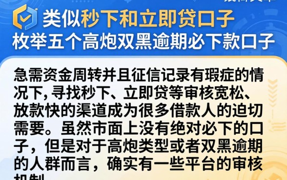 类似秒下和立即贷的口子，枚举五个高炮双黑逾期必下款口子