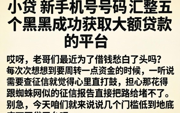 小贷 新手机号码，汇整五个黑户成功获取大额贷款的平台
