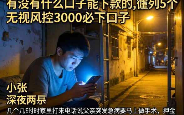 有没有什么口子能下款的，胪列5个无视风控5000必下口子