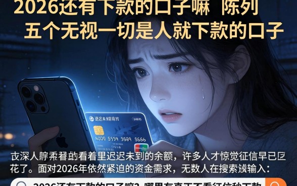 2026还有下款的口子嘛，陈列五个无视一切是人就下款的口子