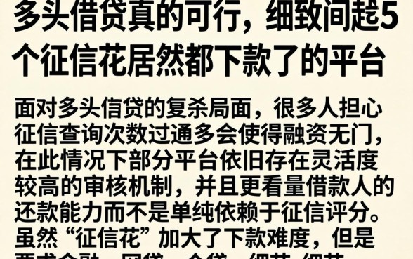 多头借贷真的可行，细致阐述5个征信花居然都下款了的平台