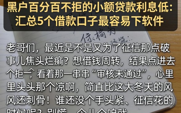 黑户百分百不拒的小额贷款利息低，汇总5个借款口子最容易下软件